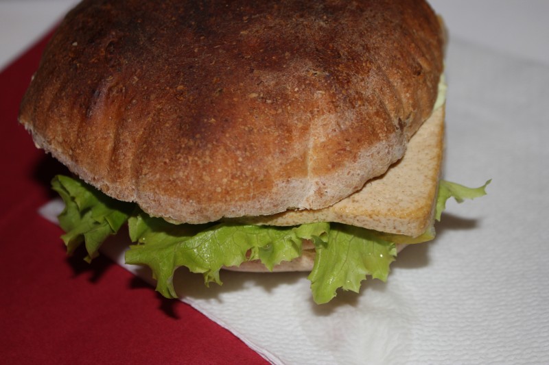 Mitt livs første tofustykke! Veggismat er ikkje så vondt og fælt som ein skulle tru...