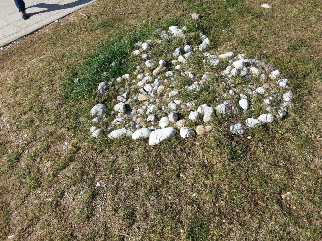 Hjartet på baksida av Gimnazia.